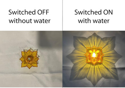 AquaGlow Diwali Diyas (Pack Of 24)